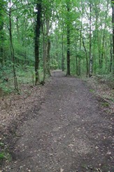 Loopclub Sportiva Gelrode - Gelro(n)de